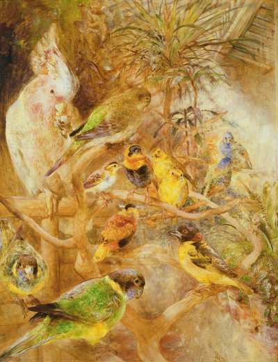 बर्ड एवेरी, 1871 द्वारा William Huggins