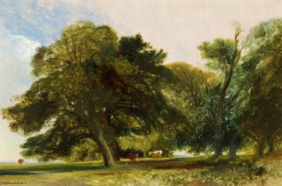 किंग्सवेस्टन पार्क - स्केच, c.1833 (कैनवास पर तेल) द्वारा विलियम जेम्स मुलर