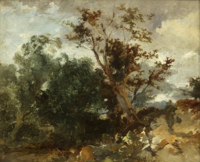 पेड़ों का अध्ययन, c.1840 (तांबे पर तेल) द्वारा विलियम जेम्स मुलर