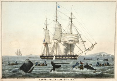 दक्षिण सागर व्हेल मछली पालन, पब। 1825 (रंग ithograph) द्वारा विलियम जॉन Huggins