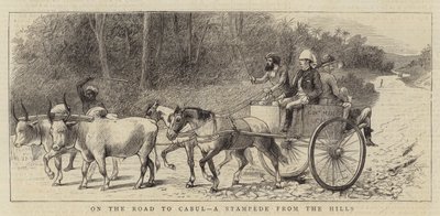 कैबुल की सड़क पर, पहाड़ियों से भगदड़ द्वारा William Ralston