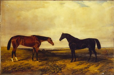 द अर्ल ऑफ़ ग्रैनार्ड की उज्ज्वल खाड़ी फ़िली और डार्क बे स्टालियन, 1885 द्वारा विलियम Snr। Luker