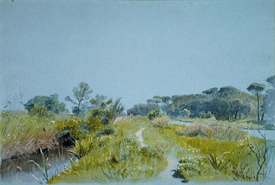 Castel FusanoNear रोम, ca. 1885। द्वारा विलियम स्टेनली हैसेल्टाइन