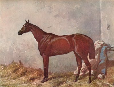 हरमीत: एप्सम, 1867, 1903 में डर्बी स्टेक्स के विजेता द्वारा विलियम समर्स