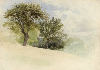 एक पहाड़ी पर पेड़ों के साथ लैंडस्केप, 1880-85 (wc, ग्रेफाइट और मलाई भारी सफेद कागज पर गऊचे का स्पर्श द्वारा विलियम ट्रॉस्ट रिचर्ड्स