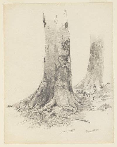 पेड़ के तने, डार्मस्टेड द्वारा William Trost Richards