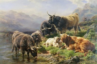 हाइलैंड कैटल द्वारा विलियम वॉटसन