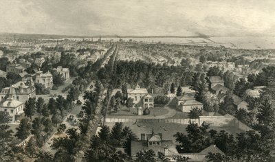 भैंस का शहर, 1872। द्वारा विलियम वेलस्टूड
