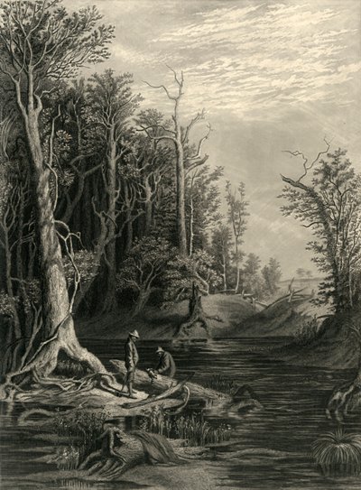 द चिकहोमिनी, 1872। द्वारा विलियम वेलस्टूड