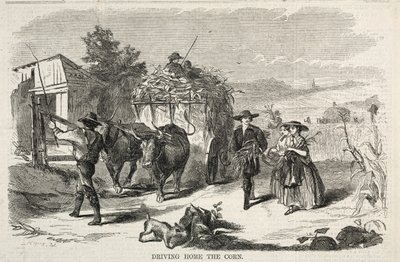 ड्राइविंग होम द कॉर्न, 1858। द्वारा विंसलो होमर