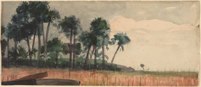 ताड़ के पेड़, लाल, 1890। द्वारा विंसलो होमर