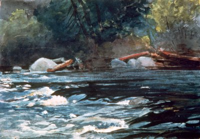रैपिड्स, हडसन नदी, 1894 द्वारा विंसलो होमर