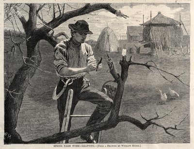 स्प्रिंग फार्म वर्क - ग्राफ्टिंग, 1870। द्वारा विंसलो होमर