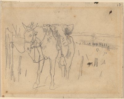 टेथर्ड, 1864। द्वारा विंसलो होमर