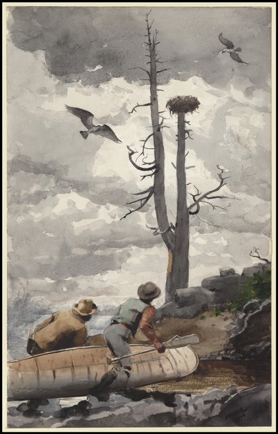 द ईगल की नेस्ट, 1902 द्वारा विंसलो होमर