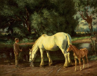  द्वारा राइट बार्कर