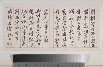  द्वारा शी दाई