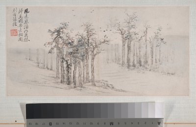  द्वारा शी दाई