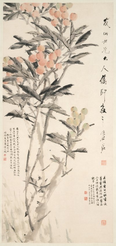 पीपा Loquats, सी। 1888-1889। द्वारा Xugu