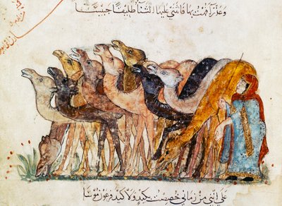 सुश्री अर 5847 f.101, ऊंटों का झुंड, अल हरिरी द्वारा &39;अल मकामत&39; (द मीटिंग), c.1240 (1689970 भी देखें) द्वारा याहया इब्न महमूद अल वासिती