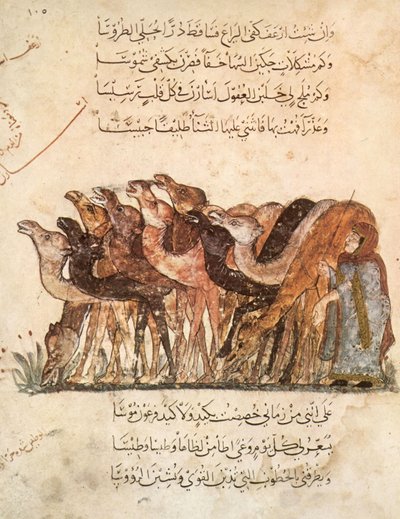 सुश्री अर 5847 f.101, ऊंटों का झुंड, अल हरमीरी द्वारा अल मकामत (द मीटिंग्स), c.1240 (1258010 भी देखें) द्वारा याहया इब्न महमूद अल वासिती