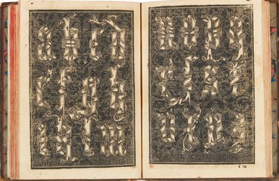 संकलन सबटिलिसिमा, हकदार ऑर्थोग्राफिया प्रैटिका, 1548। द्वारा यसियारो