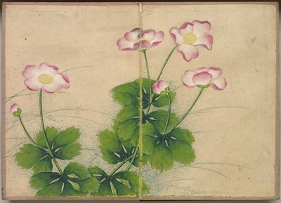 डेस्क एल्बम: फ्लावर एंड बर्ड पेंटिंग्स मालव फूल, 18 सेंचुरी। द्वारा Zhang Ruoai