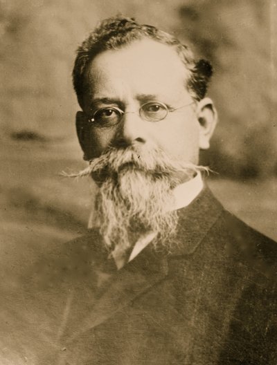 जनरल वेनस्टियानो कैरान्ज़ा (फोटो) द्वारा जॉन एर्लेंडसन