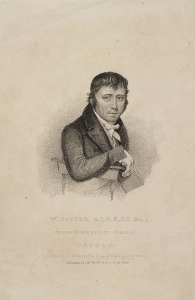विलियम बैक्सटर, एएलएस एफएचएस, ब्रिटिश वनस्पतिशास्त्री, सी 1820s द्वारा फ्रेडरिक (एटीआर) बरनार्ड