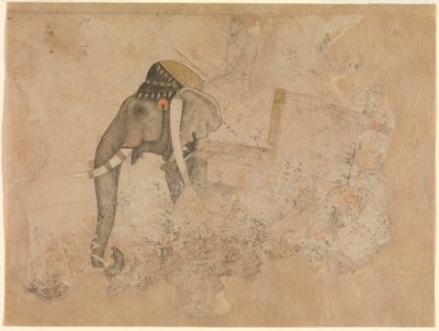  द्वारा हाशिम