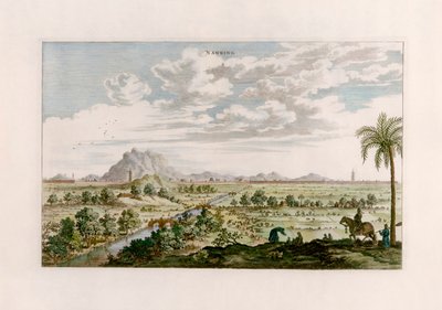 नानकिंग द्वारा जोहान्स Nieuhof के बाद