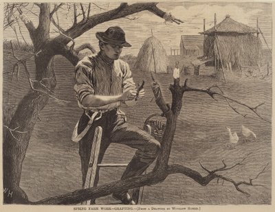 स्प्रिंग फार्म कार्य - ग्राफ्टिंग द्वारा Winslow Homer