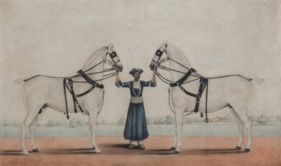 एक साइस दूल्हा दो कैरिज घोड़ों को पकड़े हुए, सीए। 1845. द्वारा कर्रया के शेख मुहम्मद आमिर को जिम्मेदार ठहराया।