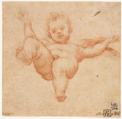 उड़ता कामदेव द्वारा follower of Annibale Carracci