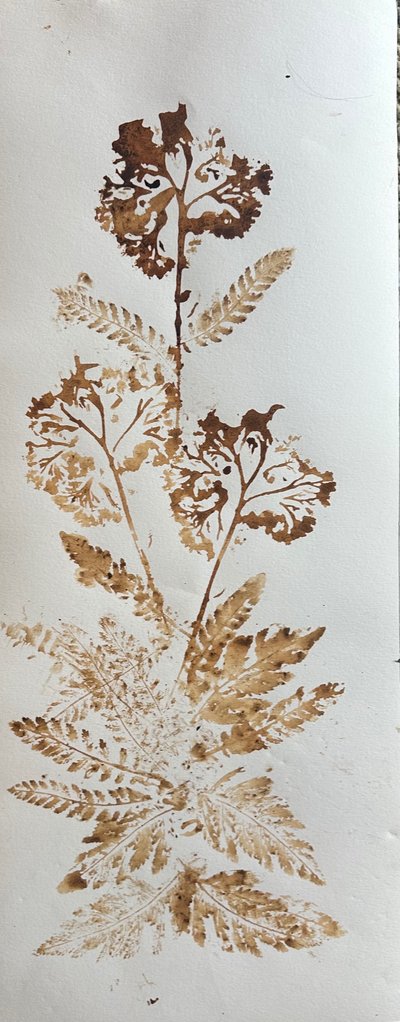  द्वारा जोकास्टा शेक्सपियर