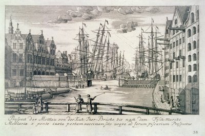 मैथियस डिश (1724-89) 1761-65 (नक़्क़ाशी) द्वारा उकेरी गई 'फिफ्टी व्यूज़ ऑफ़ ग्दान्स्क' से एक क्रो ब्रिज से मोल्टावा का दृश्य द्वारा या लोर्मन फ्रेडरिक एंटोन (बाद में) लोहरमन
