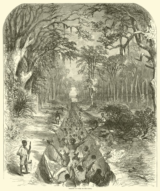नहर पर काम पर नीग्रो, मार्च 1863 (उत्कीर्णन) द्वारा (बाद में) अमेरिकन स्कूल