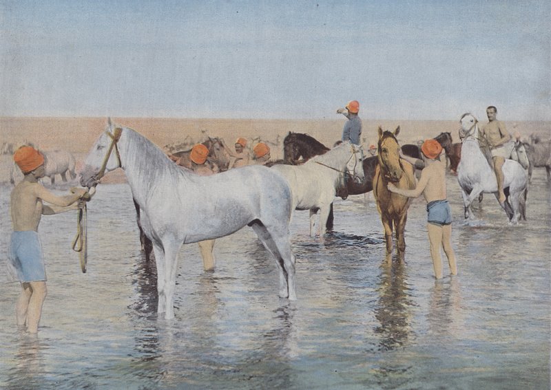 समुद्री स्नान (रंगीन फोटो) द्वारा (बाद में) फ्रांसीसी फोटोग्राफर