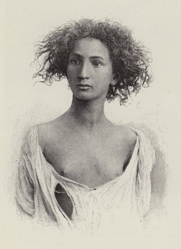 An Aurasian Arab  द्वारा अमेरिकी स्कूल