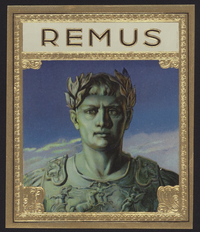 Remus द्वारा अमेरिकी स्कूल