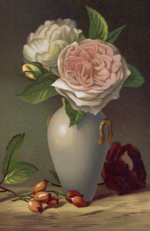 camellias द्वारा अंग्रेजी स्कूल