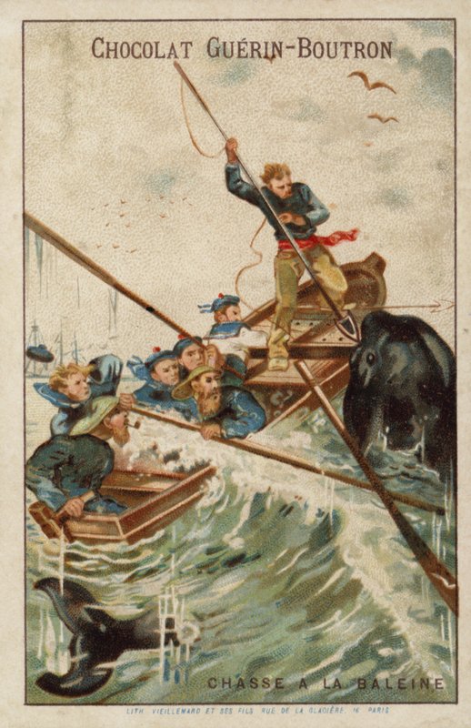 whaling द्वारा फ्रेंच स्कूल