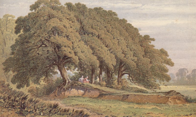  द्वारा आरोन एडविन पेनली