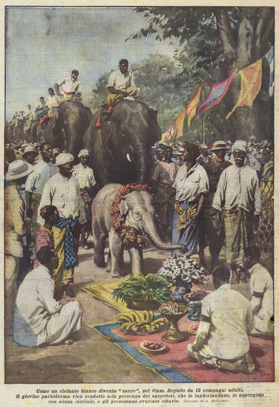 सफेद हाथी के रूप में यह पवित्र हो जाता है, स्याम में द्वारा अचिल बेल्ट्रैम
