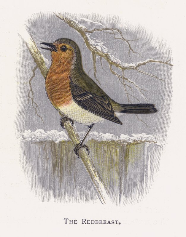 Redbreast द्वारा अलेक्जेंडर फ्रांसिस लिडॉन
