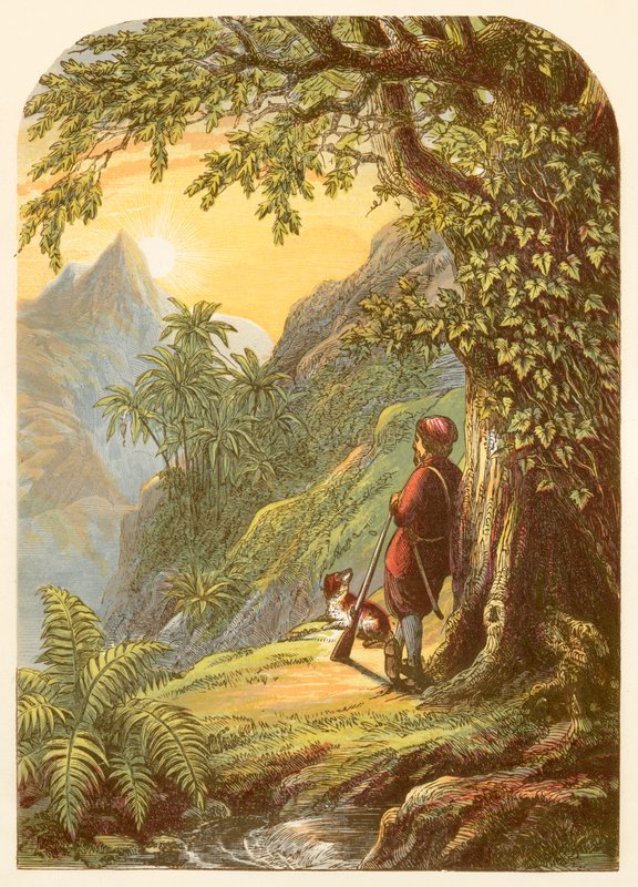 रॉबिन्सन क्रूसो द्वीप का एक सर्वेक्षण लेता है द्वारा अलेक्जेंडर फ्रांसिस लिडॉन