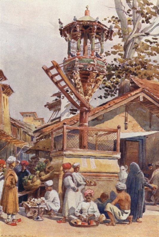 ए फीडिंग-प्लेस फॉर बर्ड्स, अहमदाबाद द्वारा अलेक्जेंडर हेनरी हल्लम मरे