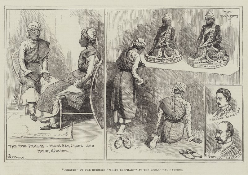 जूलॉजिकल गार्डन में बर्मीज़ व्हाइट एलिफेंट के पुजारी द्वारा अल्फ्रेड कोर्टबॉल्ड