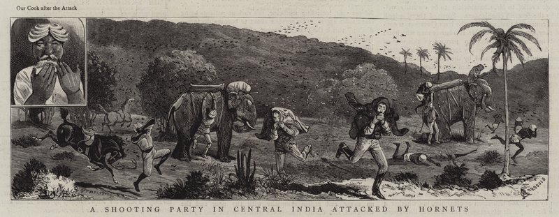 मध्य भारत में एक शूटिंग पार्टी ने हॉर्नेट्स पर हमला किया द्वारा अल्फ्रेड चैंट्रे कॉर्बोल्ड