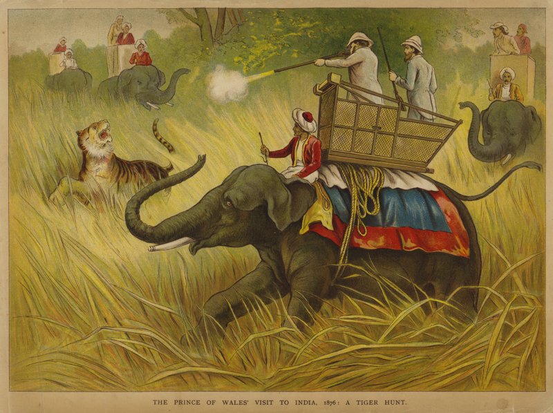  द्वारा अल्फ्रेड जॉनसन